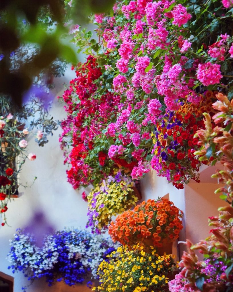 Patio cordobés con flores